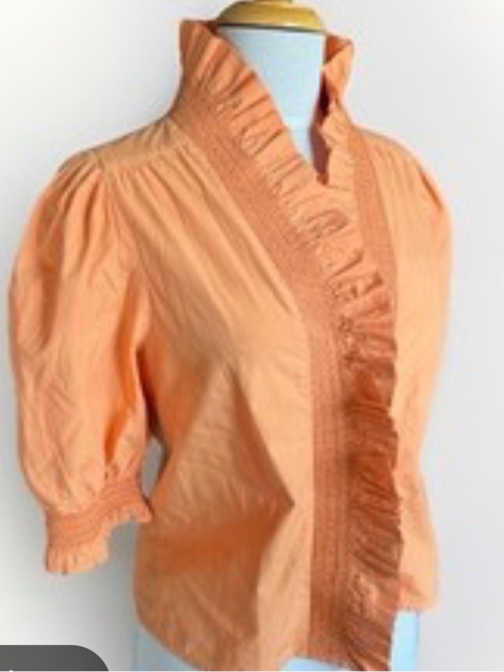 Love the Label Ruffled Front Puff Sleeve Blouse
